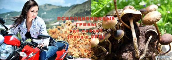 наркотики Белокуриха